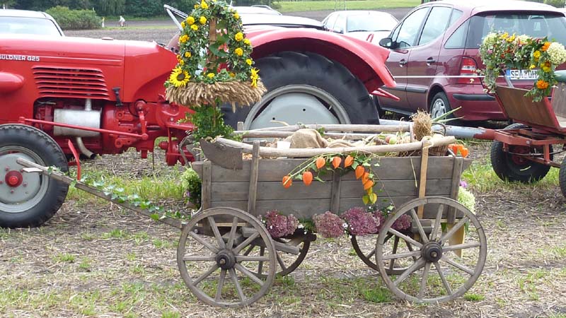 Erntefest 2010 007