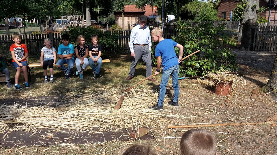 Dreschen wie früher